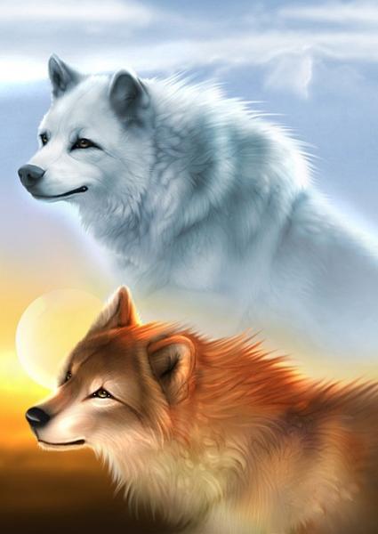 LOUPS