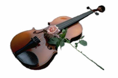 VIOLON